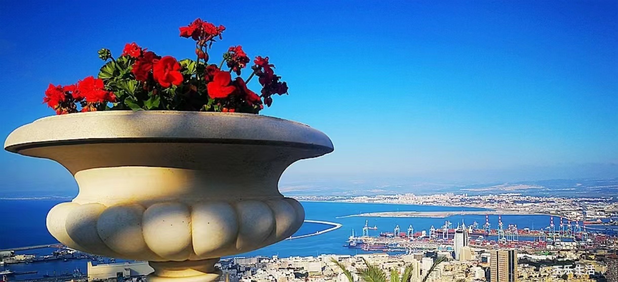 外國(guó)經(jīng)典歌曲 外國(guó)經(jīng)典歌曲